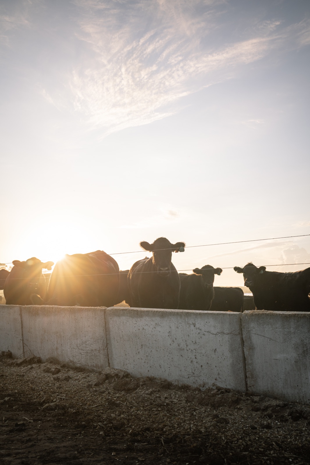 Trabajo de campo en Curupy del Salvador