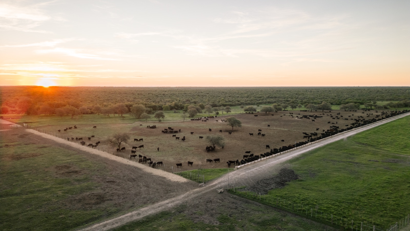 Campos de Curupy del Salvador vistos desde el aire