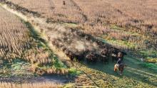 Trabajo de campo en Curupy del Salvador